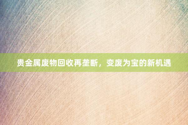 贵金属废物回收再垄断，变废为宝的新机遇