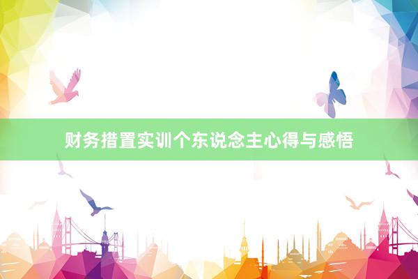 财务措置实训个东说念主心得与感悟
