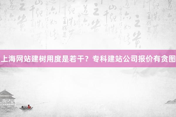 上海网站建树用度是若干？专科建站公司报价有贪图