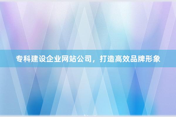专科建设企业网站公司，打造高效品牌形象