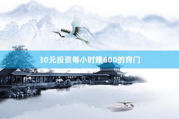 30元投资每小时赚600的窍门